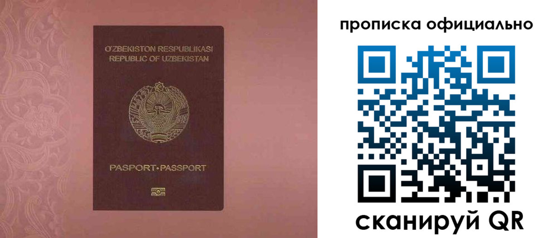 прописка гарантия в Вологодской области